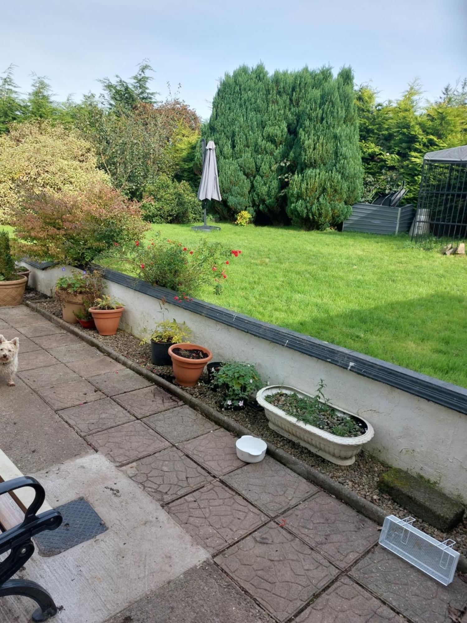 Hillside Haven Apartment Tipperary Bagian luar foto